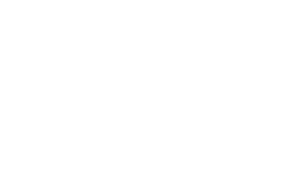 02_poly_solo_weiß 02_poly_solo_weiß